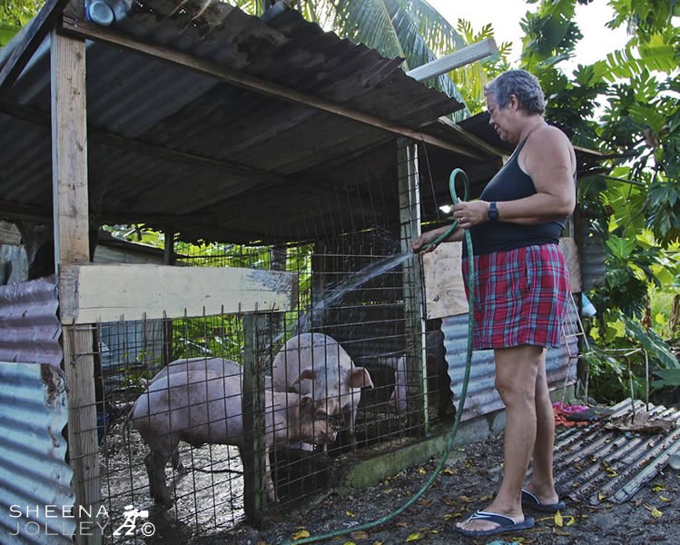 Cooling the Blood.jpg - Mona Bailey feeding the pigs